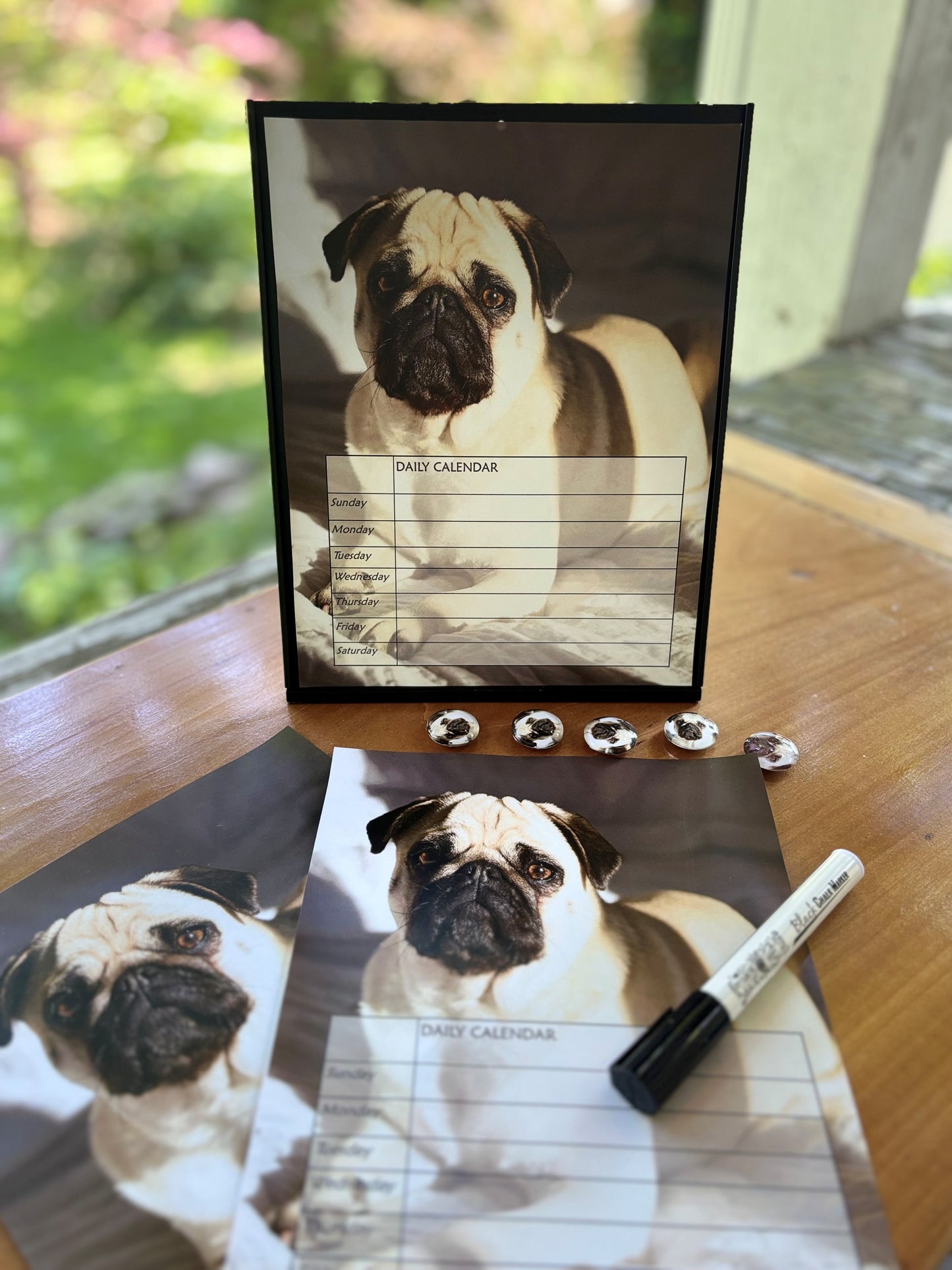 Yorkshire Terrier lover Desktop Magnet/Memo Board