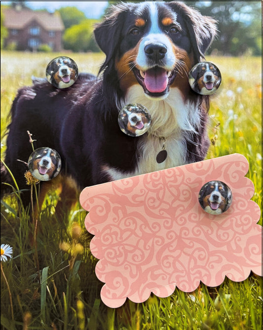 Bernese Mountain Dog Desktop Magnet/Memo Board