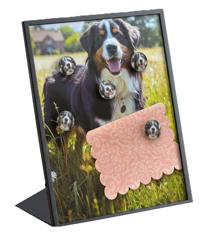 Bernese Mountain Dog Desktop Magnet/Memo Board