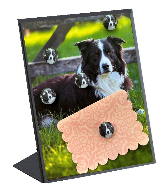 Border Collie Desktop Magnet/Memo Board