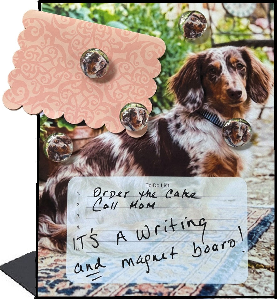 Dachshund Desktop Magnet/Memo Board