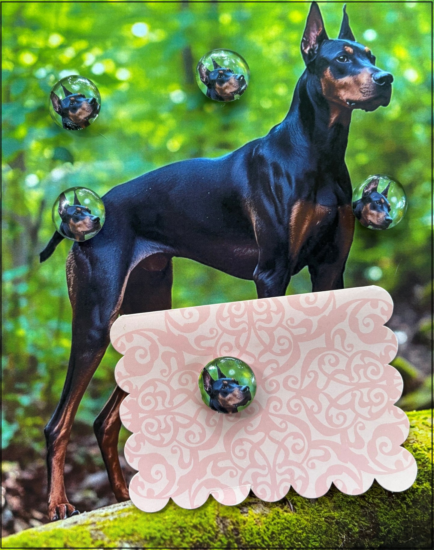 Doberman Pinscher Desktop Magnet/Memo Board
