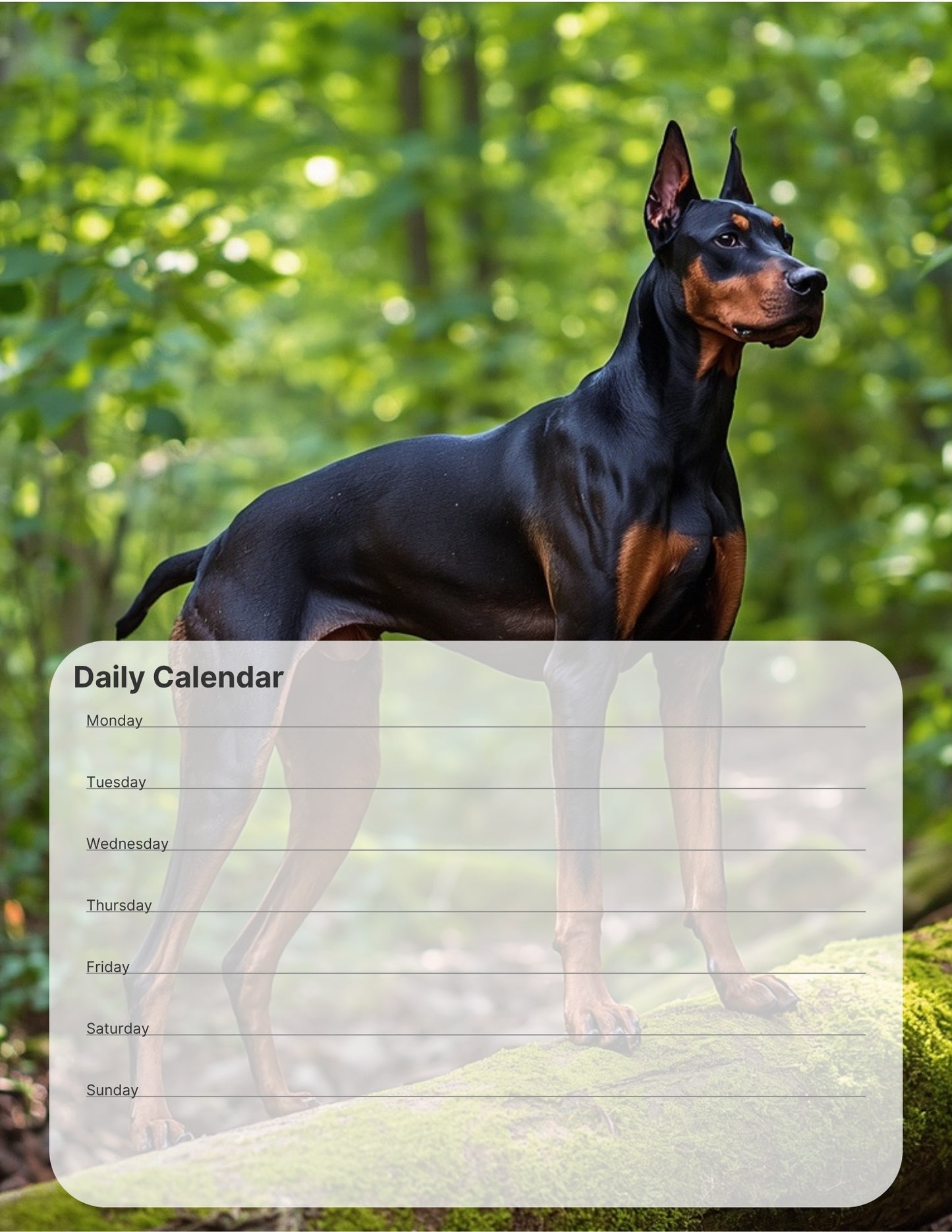 Doberman Pinscher Desktop Magnet/Memo Board