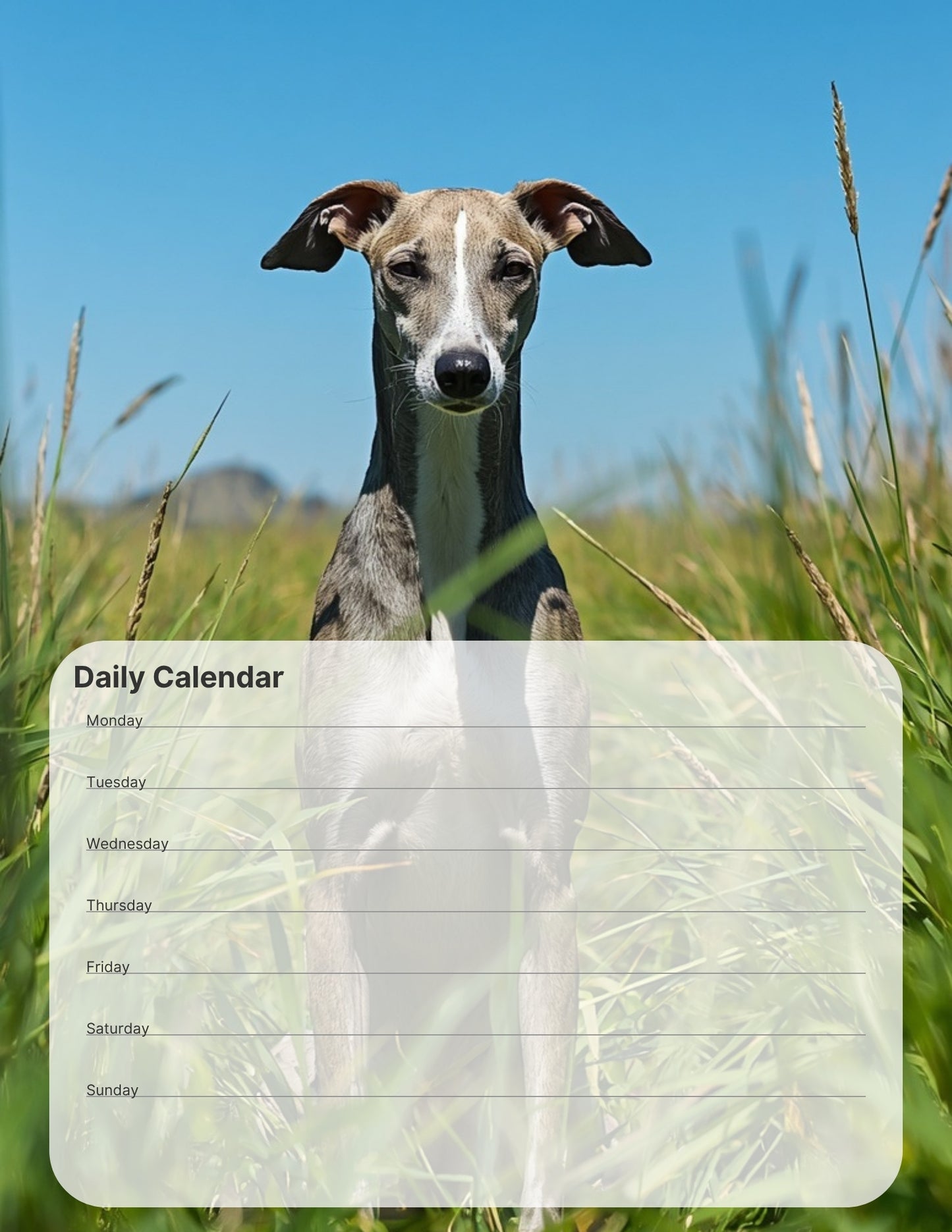 Greyhound Desktop Magnet/Memo Board