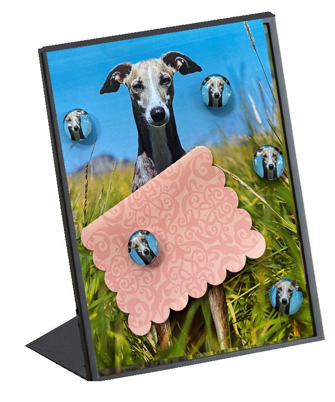 Greyhound Desktop Magnet/Memo Board