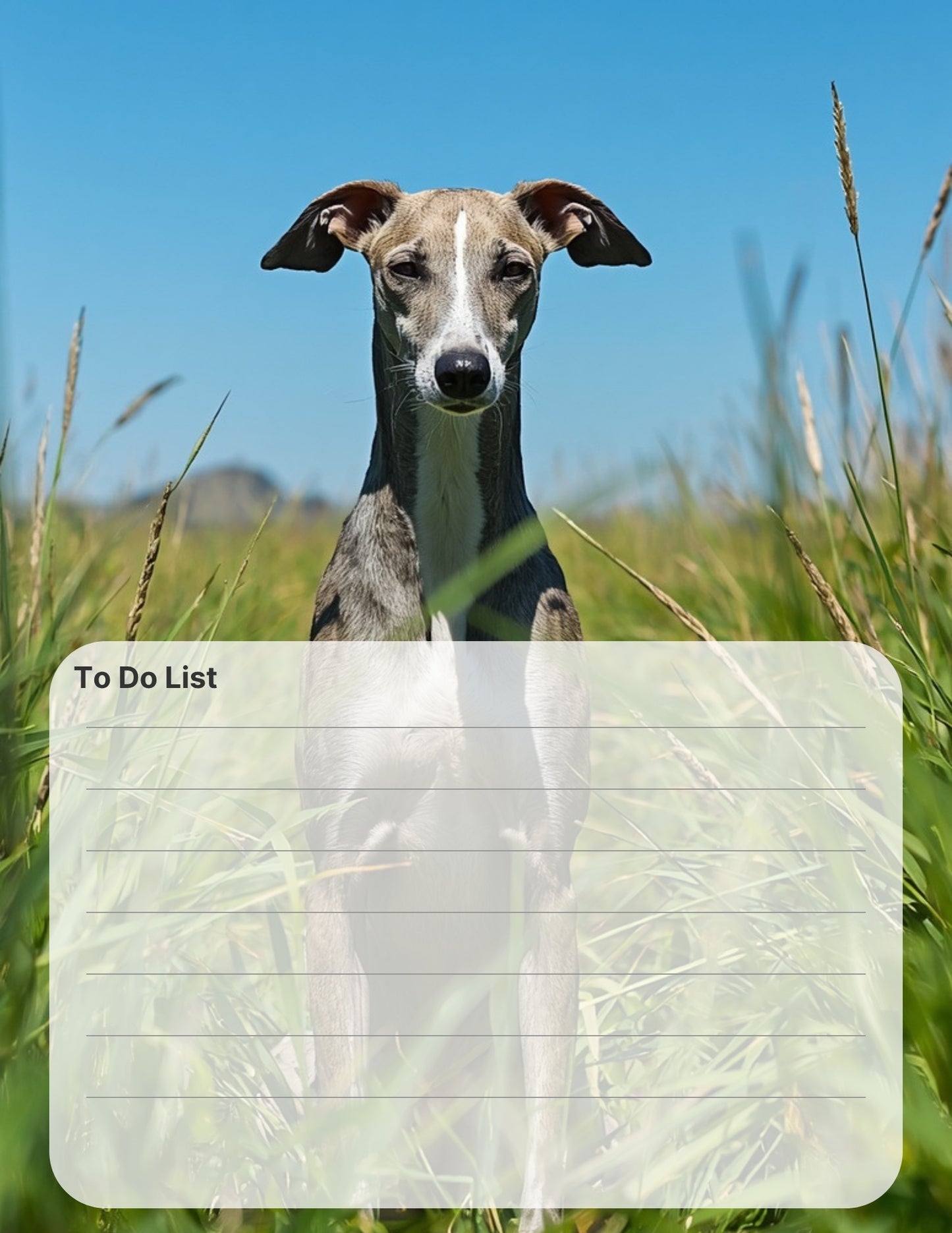 Greyhound Desktop Magnet/Memo Board