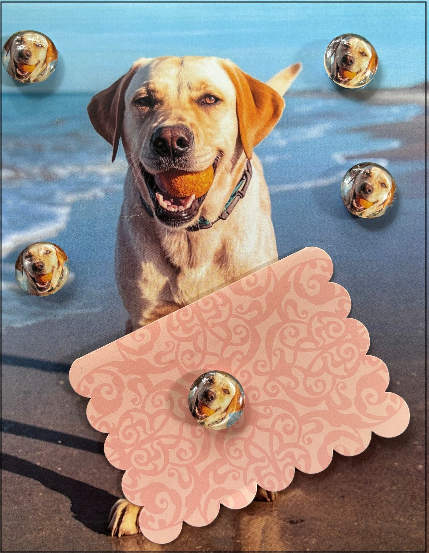 Labrador Desktop Magnet/Memo Board