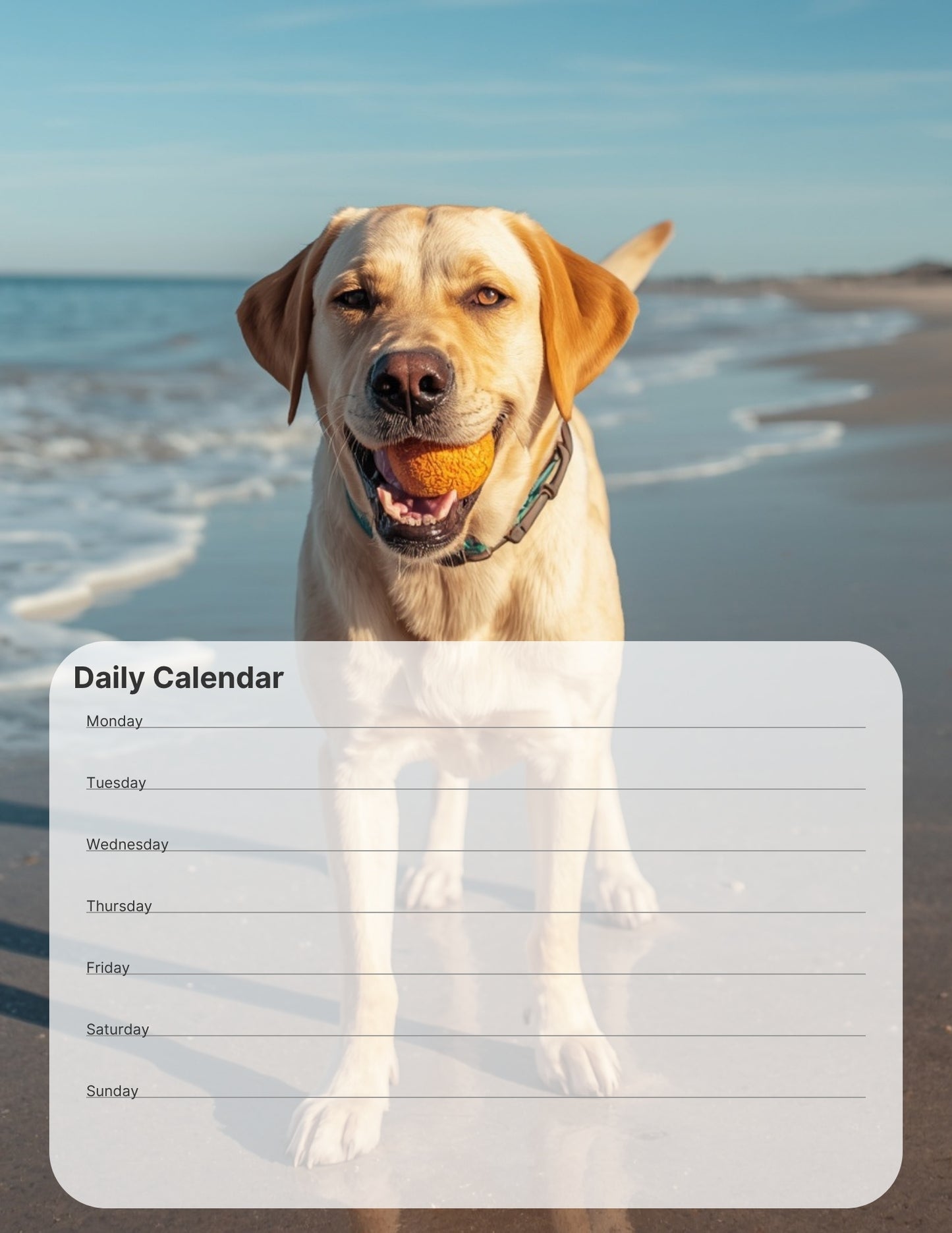 Labrador Desktop Magnet/Memo Board