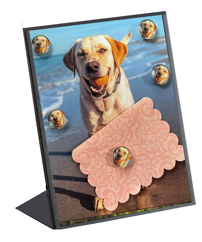 Labrador Desktop Magnet/Memo Board
