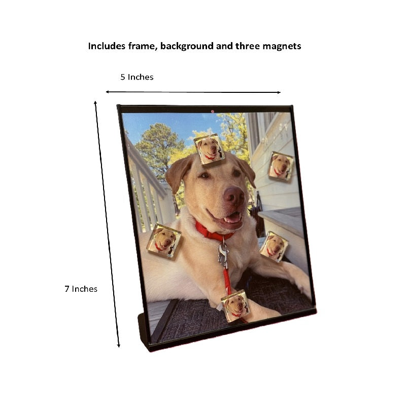 Whippet Lover Desktop Magnet/Memo Board