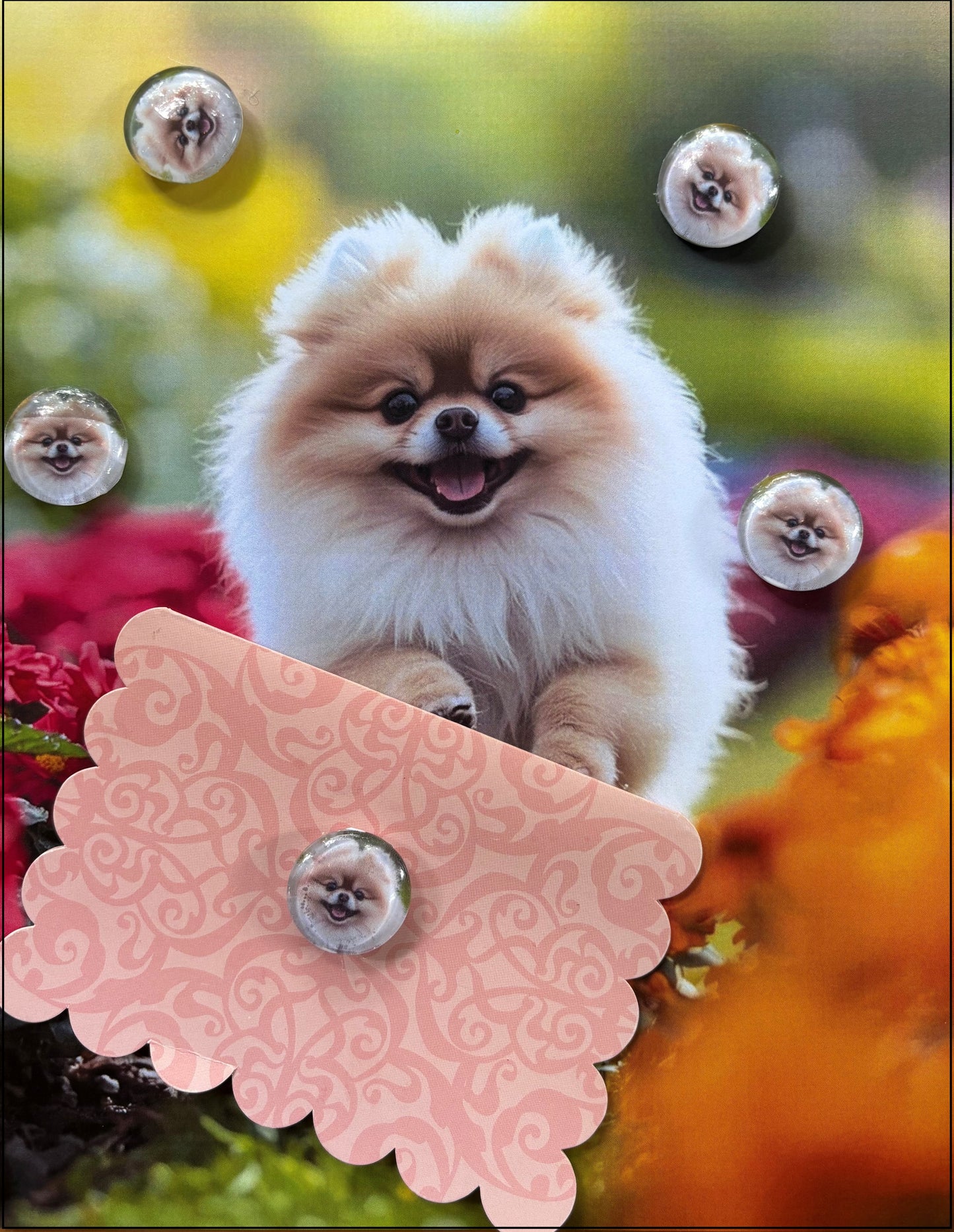 Pomeranian Desktop Magnet/Memo Board
