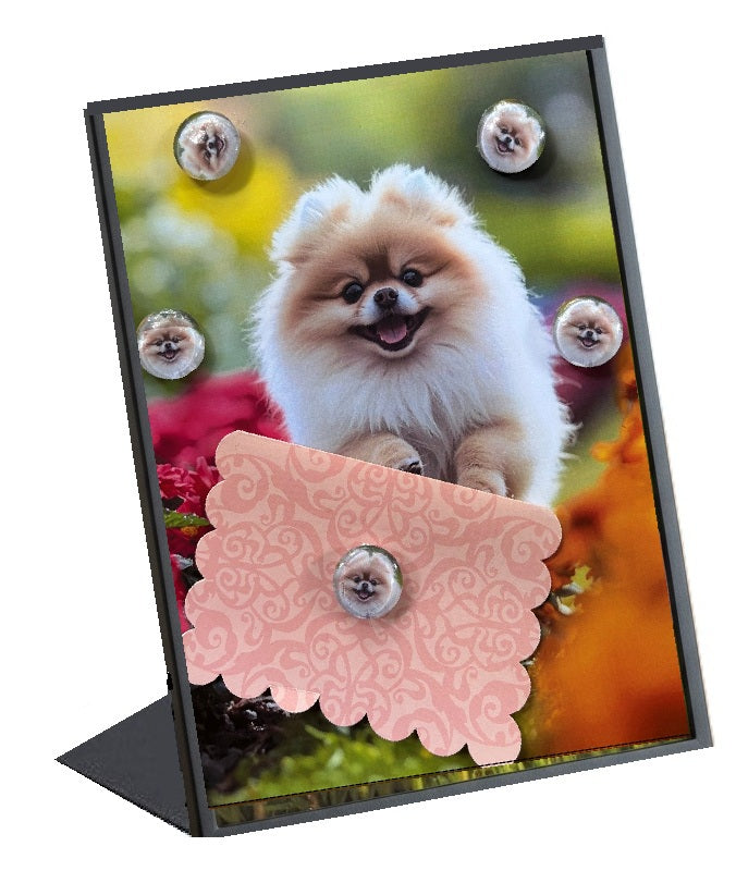 Pomeranian Desktop Magnet/Memo Board