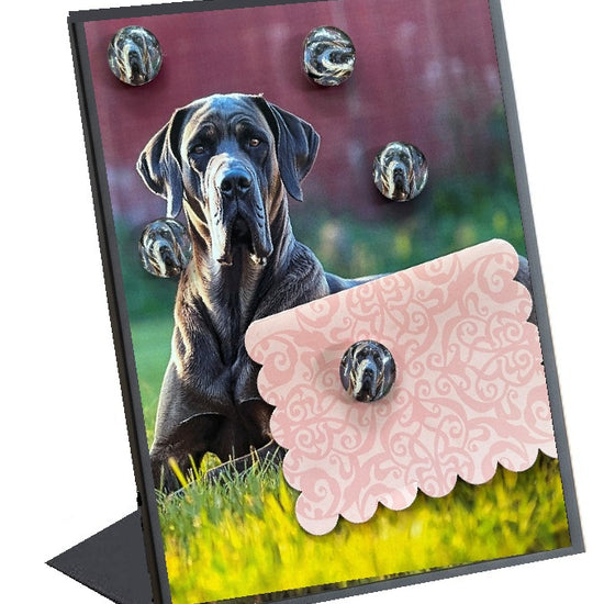 dog magnet oards