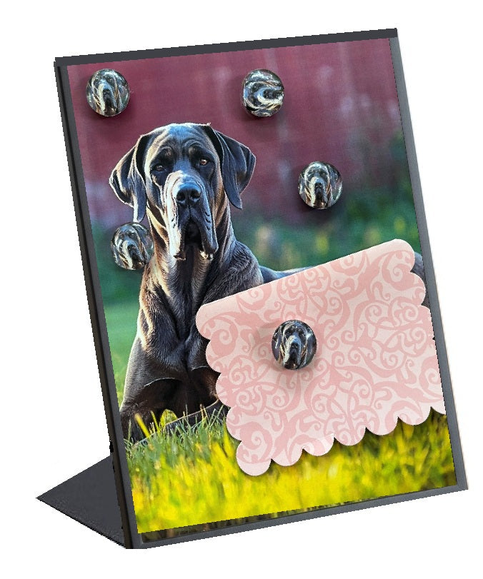 dog magnet oards