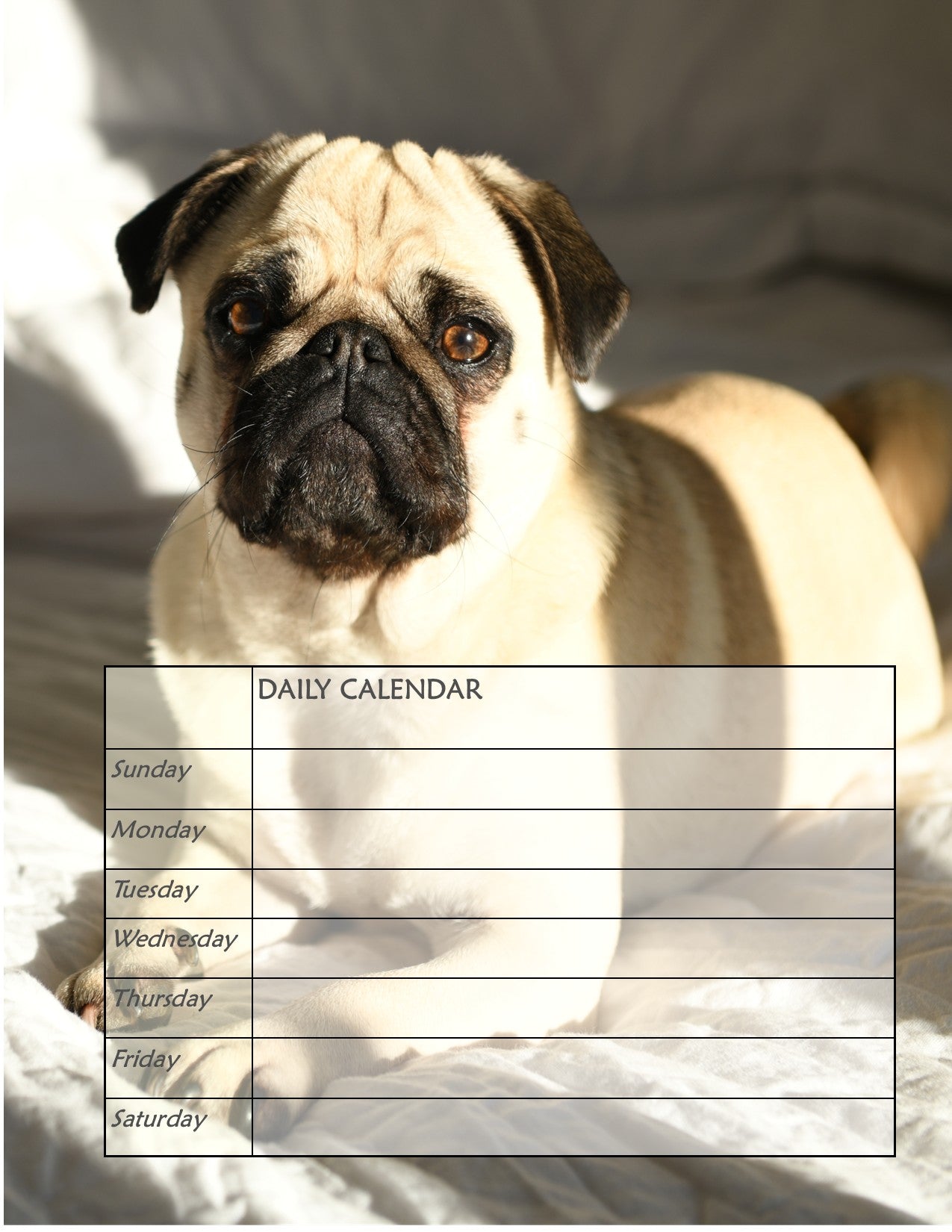 Metal & Glass Pug Desktop Organizer, Interchangeable Calendar, To-Do List, and Magnet Board with 5 Magnets, Luxury Pug Mom Gift