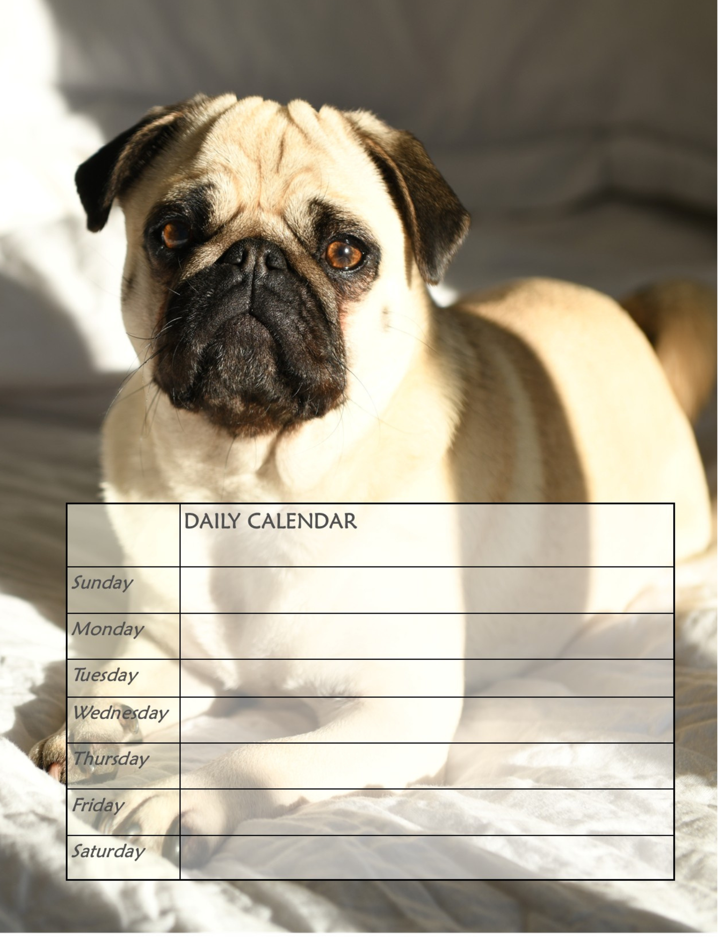 Metal & Glass Pug Desktop Organizer, Interchangeable Calendar, To-Do List, and Magnet Board with 5 Magnets, Luxury Pug Mom Gift