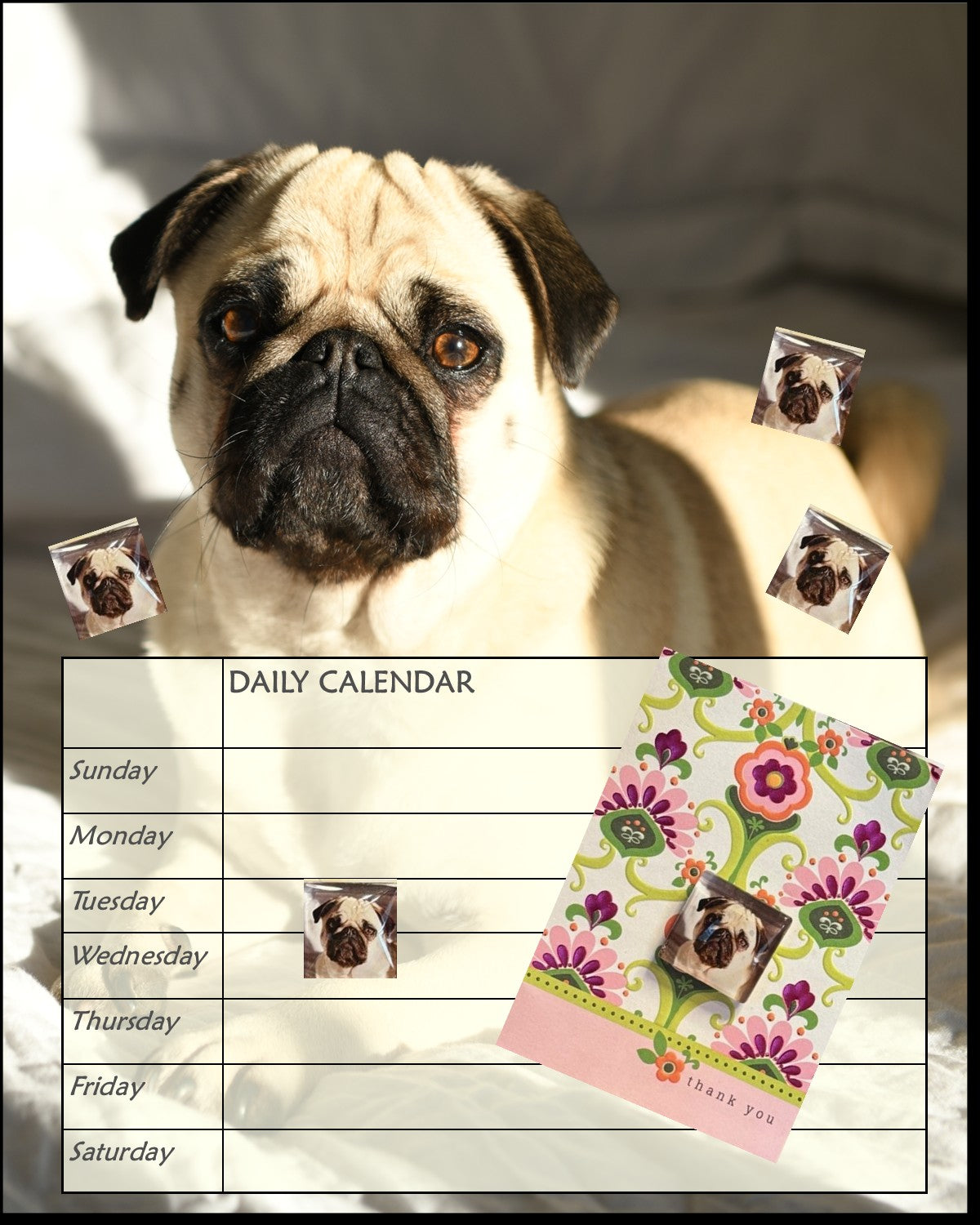 Metal & Glass Pug Desktop Organizer, Interchangeable Calendar, To-Do List, and Magnet Board with 5 Magnets, Luxury Pug Mom Gift