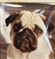 Metal & Glass Pug Desktop Organizer, Interchangeable Calendar, To-Do List, and Magnet Board with 5 Magnets, Luxury Pug Mom Gift