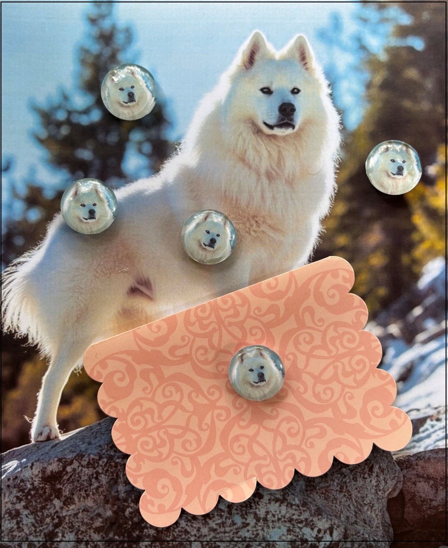 Samoyed Lover Desktop Magnet/Memo Board