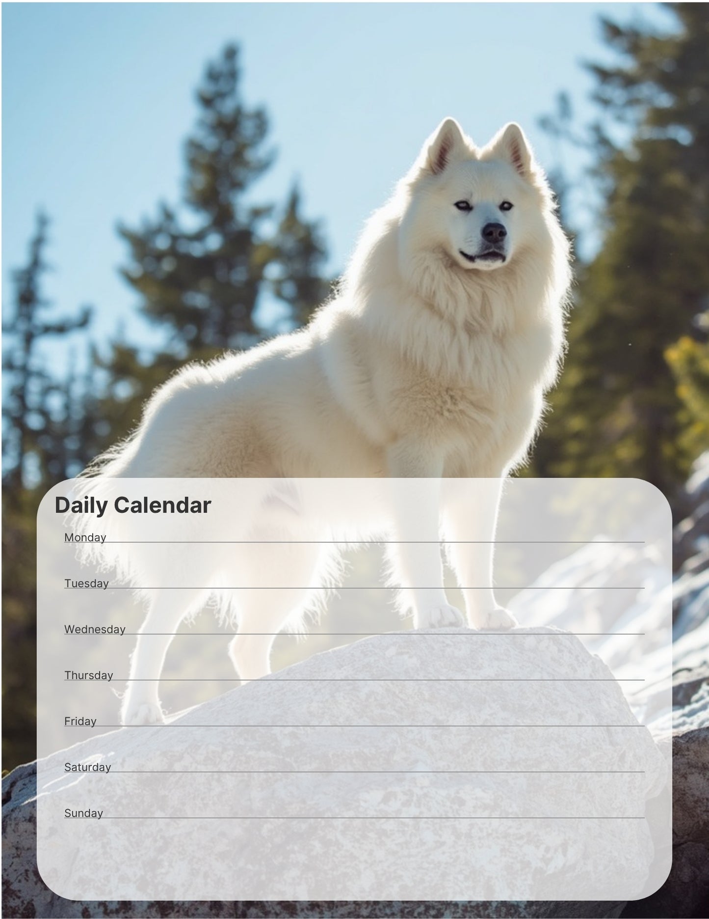 Samoyed Lover Desktop Magnet/Memo Board