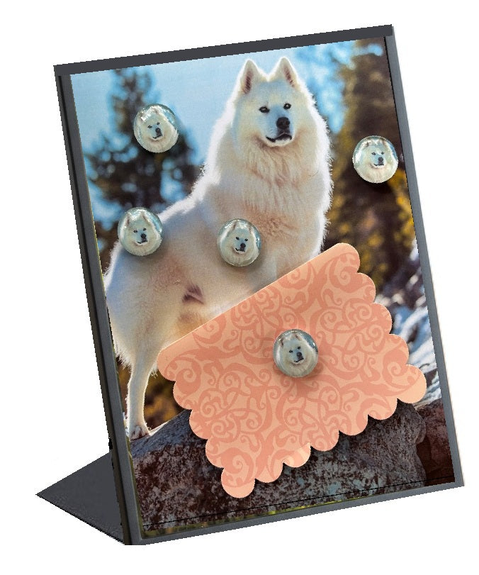 Samoyed Lover Desktop Magnet/Memo Board