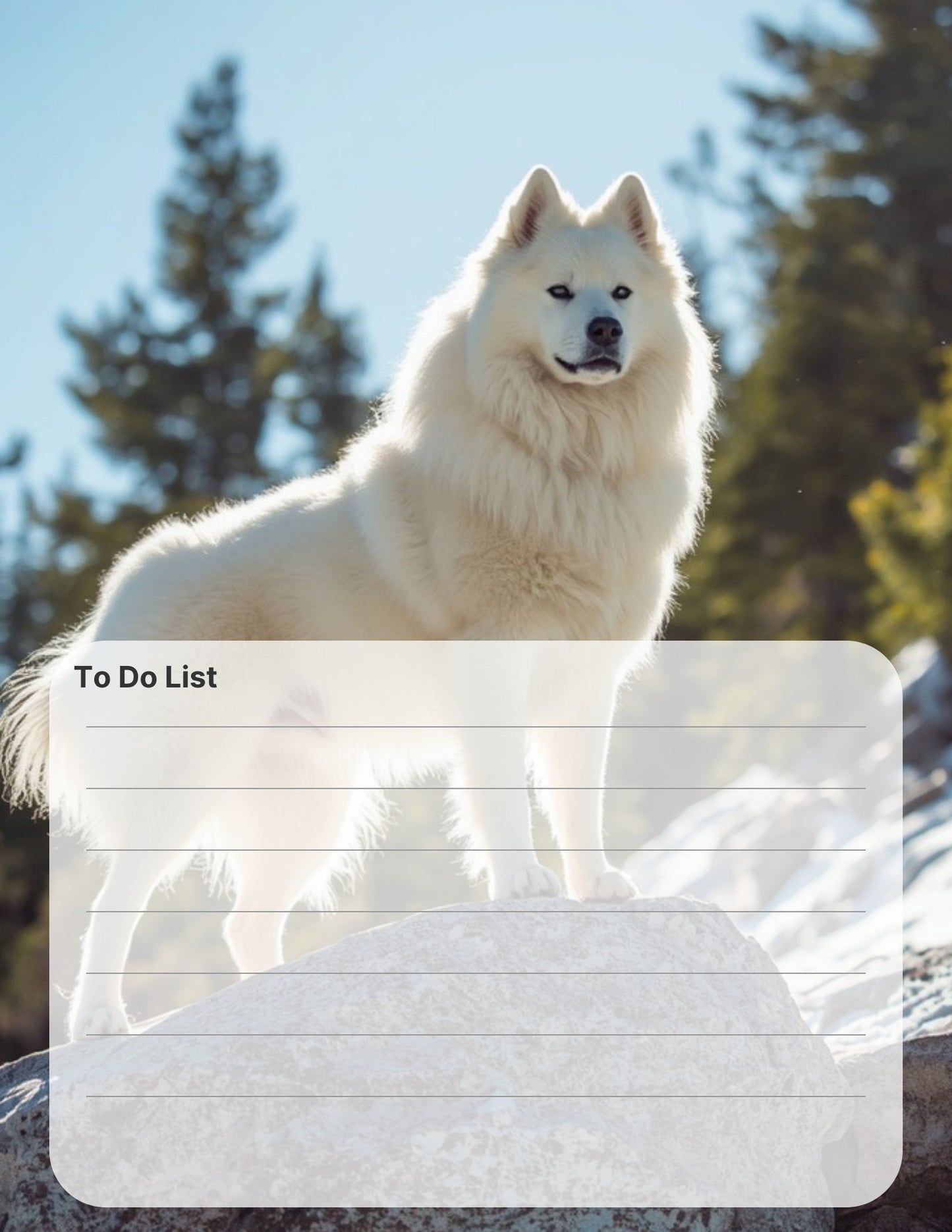 Samoyed Lover Desktop Magnet/Memo Board