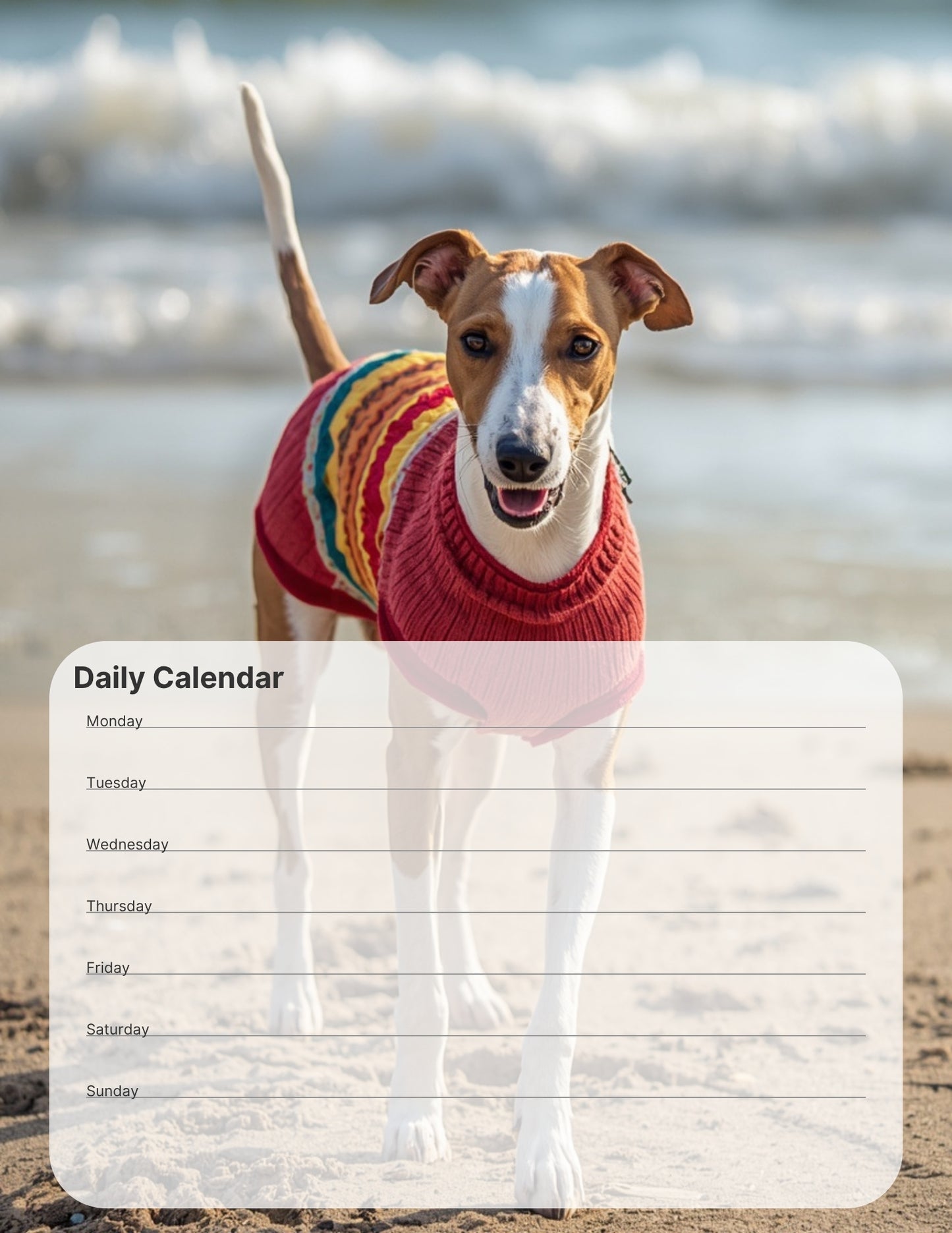Whippet Lover Desktop Magnet/Memo Board