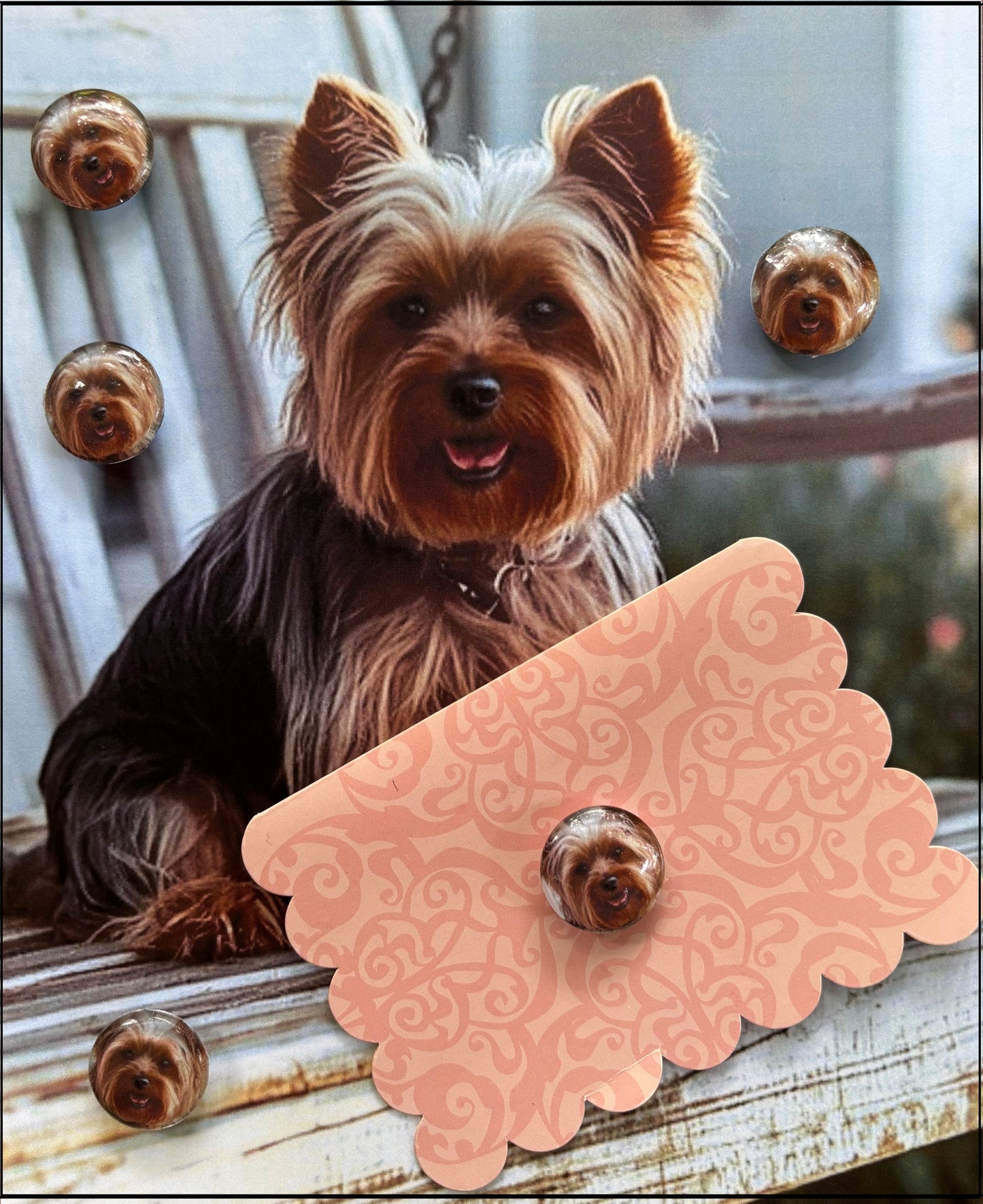 Yorkshire Terrier lover Desktop Magnet/Memo Board