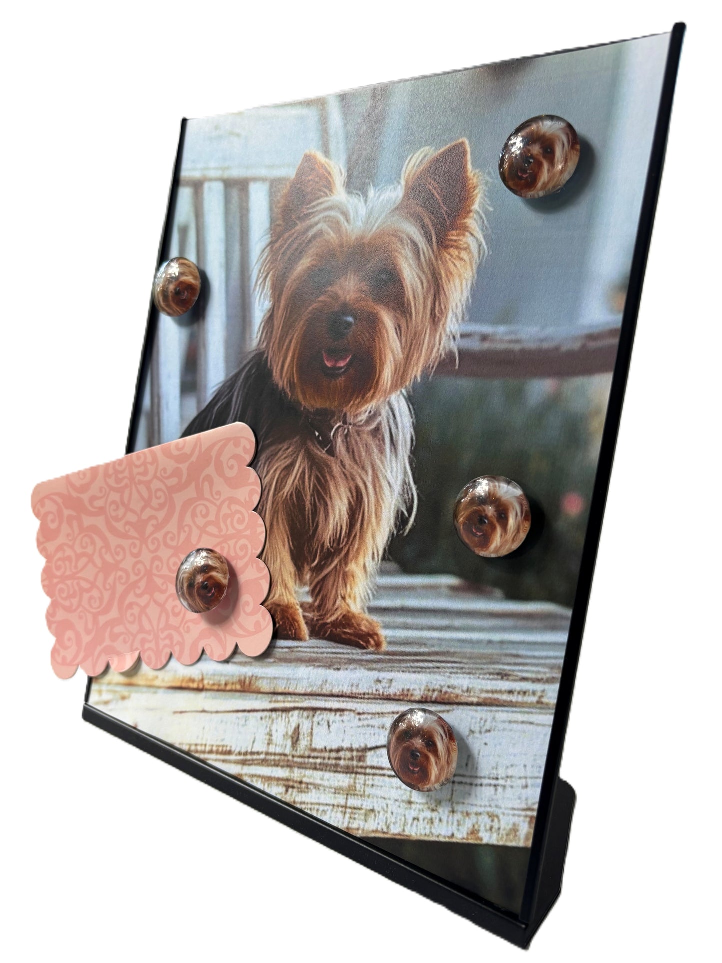 Yorkshire Terrier lover Desktop Magnet/Memo Board